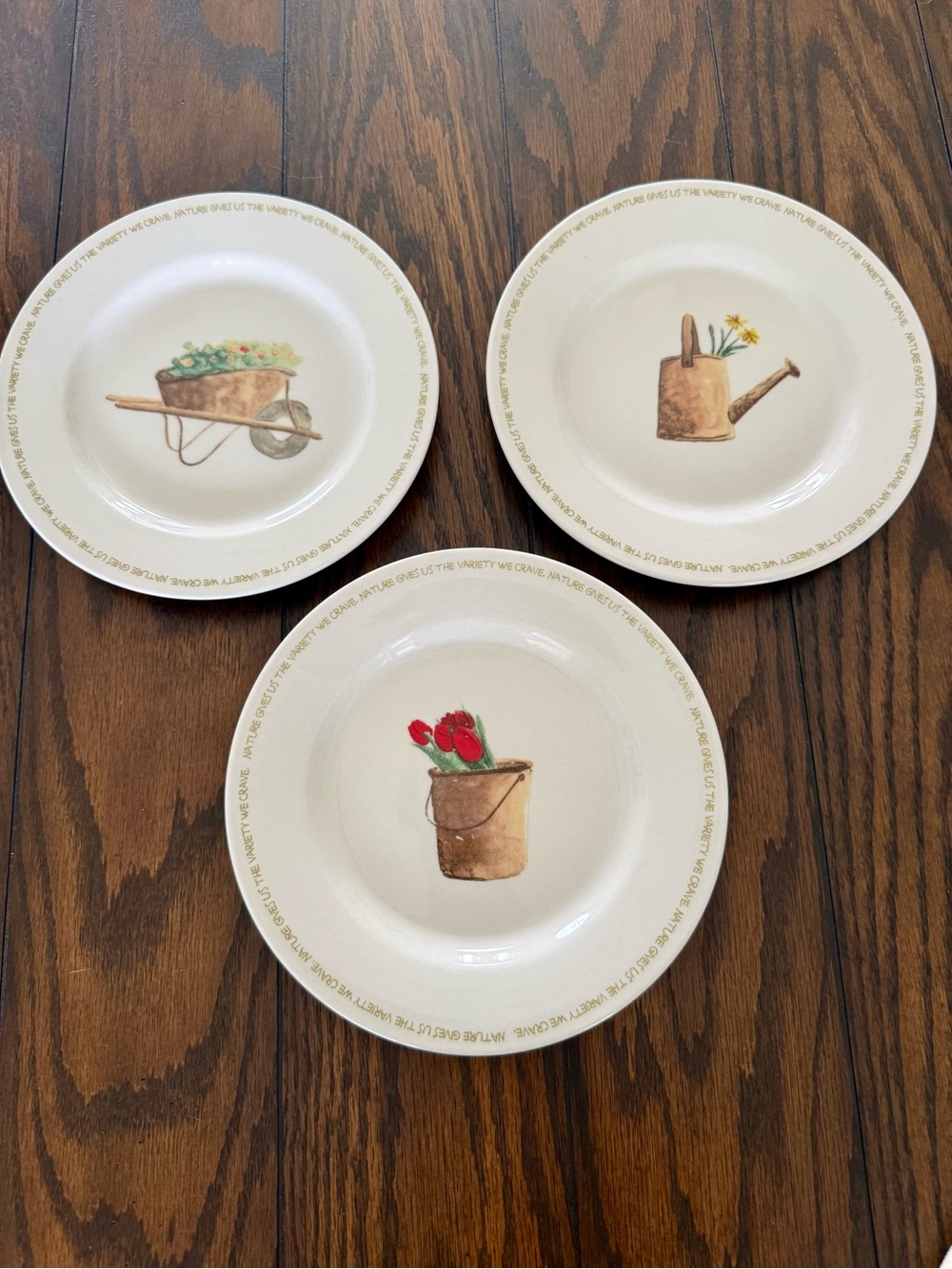 Thomson Pottery My Garden Salad Plates Set of 3  Wheelbarrow Tulips Watering Can
